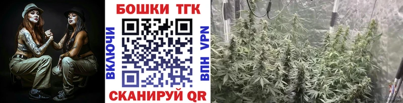 купить наркоту  блэк спрут ССЫЛКА  Канабис AK-47  Вольск 